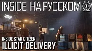 Inside Star Citizen на русском – нелегальная доставка