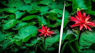 Lightroom CC Photo Editing || 