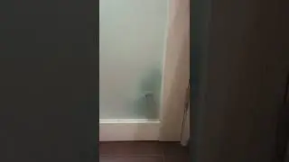 кишо