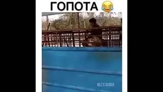 Как правильно дать пять // Что такое гопота!!! 