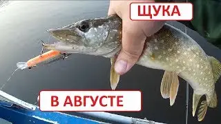 Ловля щуки. Ловля щуки на воблеры.