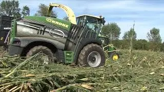 NEW KRONE BIGX 1180 IN VERSIONE SPECIALE IN USCITA IL PRIMO GIORNO DI LAVORO 2019