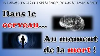 Neurosciences et Expériences de Mort Imminente