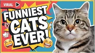 Hilarious Cats Compilation  Non-Stop Laughter Guaranteed🐱🤣 #FunnyCats #CatVideos #CatsYouTube #Cats