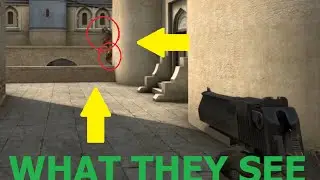 What I See - What My Enemies See