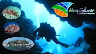 Buceo Almuñécar - La Herradura