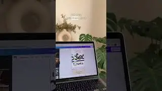Freelance social media manager portfolio 