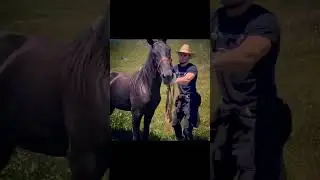 Бош Алай (перезалив)
