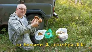 за Белыми 2 сентября