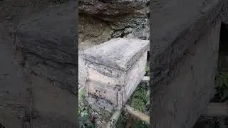 10. Cận cảnh đàn ong rừng về tổ mới và cách bắt ong rừng tự nhiên về nuôi lấy mật # Lò Sáng LC