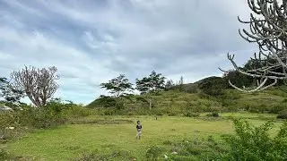 Best nature