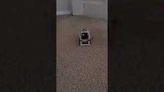 Cozmo guesses the Number!