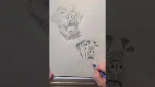 Pencil- Montana & Remington