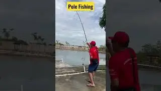 Big Grouper using only rod no reel ( pole fishing ) #bigfish
