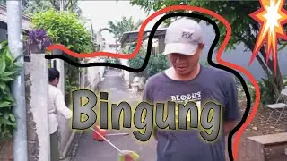 Akiaki bingung