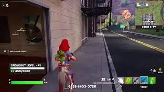 The gamer