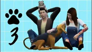 The Sims 4 Cats & Dogs (Bölüm 3) - Klinikte İlk Adımlar