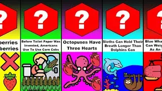 Comparison: I Bet You Didn’t Know This! (For Statistics)