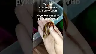 #cute