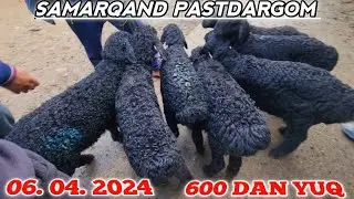 SAMARQAND PASTDARGOM JUMA QUY BOZORI ARZON BULDIMI