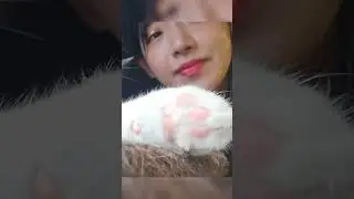 Cat Gets CONFUSED After Hearing Stream Fart...
