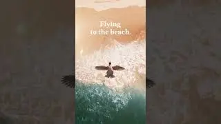 The Famous Grouse - Gilbert's Travels
