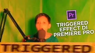 Cara Membuat Efek Meme Triggered Di Adobe Premiere Pro