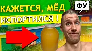 Должен ли мед КРИСТАЛЛИЗОВАТЬСЯ ? Почему мед перестал быть жидким, стал твердым ? Причины и хранение
