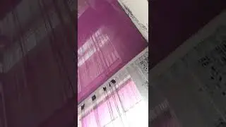 мышь бегает по потолку