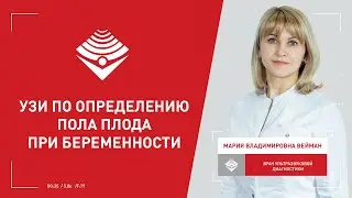 На каком сроке определить пол плода