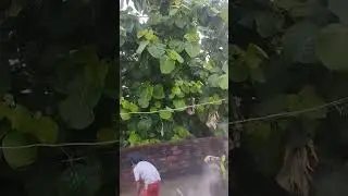 rim jhim #short video
