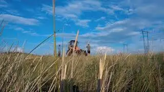 1)  2023.08.05 Начали благоустройство территории бывшего казачьего лагеря близ пос Гумбейский.