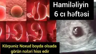 Hamilelik 6.hefte hamileliyin ilk əlamətləri