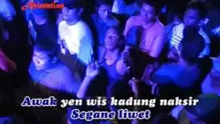 14  DWE HP GK DWE PULSA RUDI MPEG1 VCD PAL
