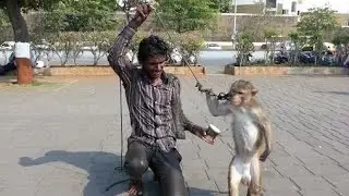 Funny monkey dance video | monkey funny video [funny clip]2018 |how to make fun with monkey 2018 fun