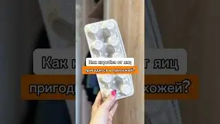 Три совета от подписчиков для дома. Какой совет вы бы применили?