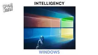 Intelligency x K-391 - Intelligency Windows (Spring Nation Mashup)
