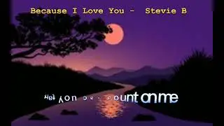 Because I Love You - Stevie B - Lyrics