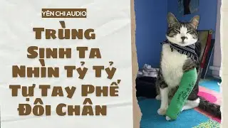 [Truyện Audio FULL] Trùng Sinh Ta Nhìn Tỷ Tỷ Tự Tay Phế Đôi Chân  | Yên Chi Audio