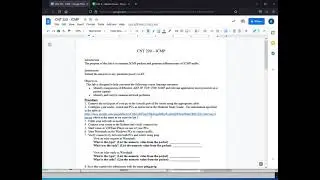 CNT 220 ICMP lab overview