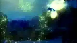 Disney Channel Ident: Firefly