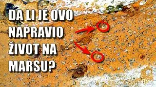 Najbolji biomarker ikada sa Marsa – Da li su leopardove tačke potvrda antičkih mikroba?