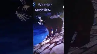 последний день лета..., Warriors Cats Ultimate Editor #warriorcats #warriors #котывоителит#коты #кот