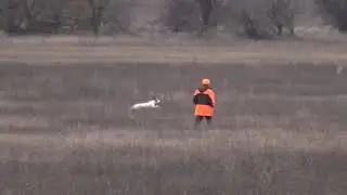 1113 (36) АП Эрик Стафёров И