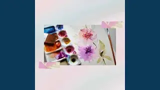 Chilled Backdrops for Daily Programming