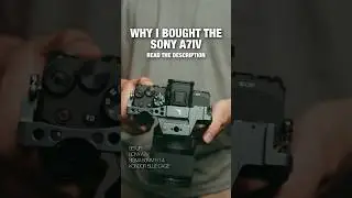 Why I bought the Sony A7IV 