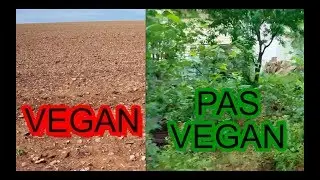 Pourquoi le véganisme va disparaitre avant 2045