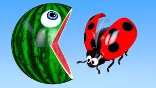 Learn Colors with PACMAN and Farm Ladybug WaterMelon Street Vehicle for Kid Children