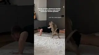 Not a moment's peace 😂