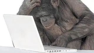 Study with me stream (1 hour)